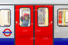 Load image into Gallery viewer, Mind The Gap